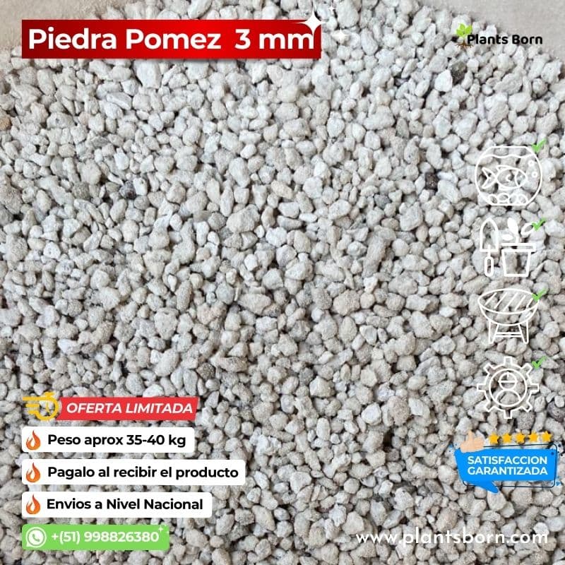 Piedra Pomez 1 kg **