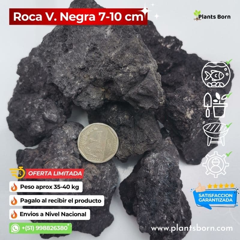 Crea Espacios Inolvidables Venta de Rocas Volcánicas en Google y Facebook