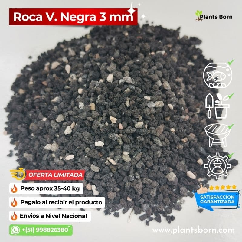 Imágenes de Roca Volcánica Decoración Exclusiva para Hogares en Todo Perú