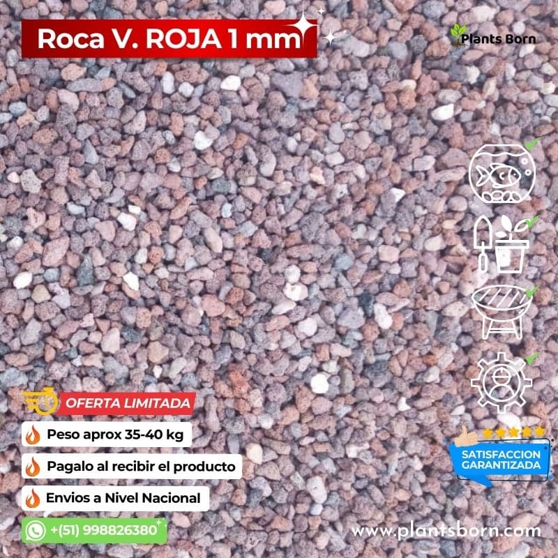 Intensifica tu Decoración Rocas Volcánicas Rojas para un Estilo Único