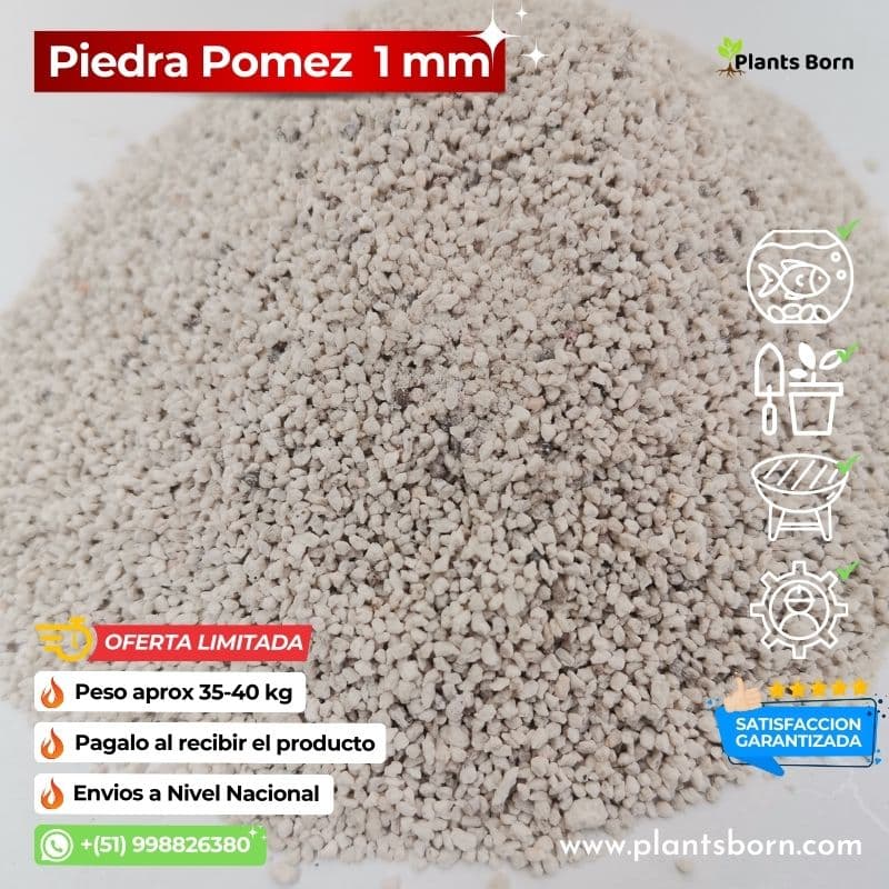Piedra Pomez 1 kg **
