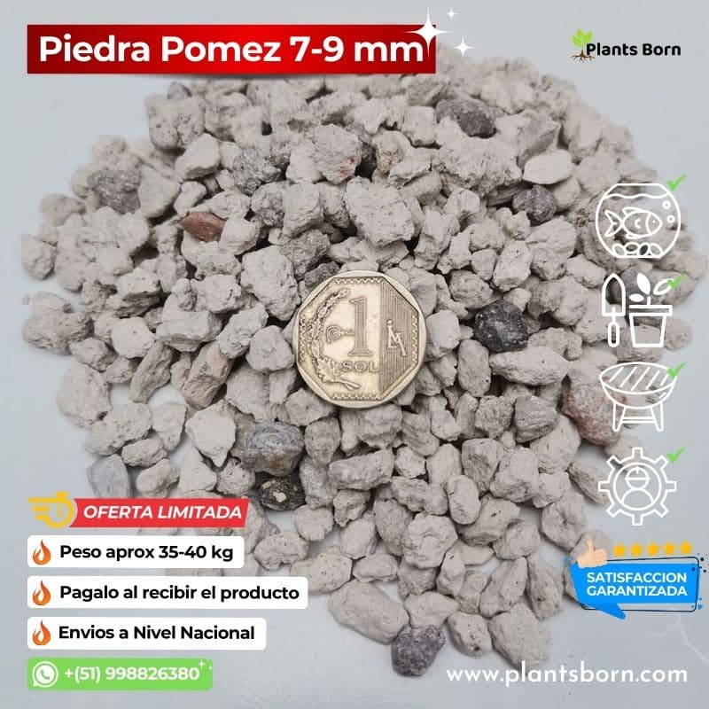 Piedra Pomez 7-9 mm - Plants Born