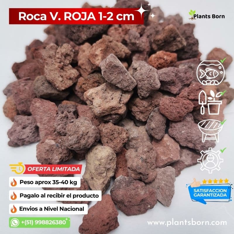 Vibrante y Exclusivo Fotos de Roca Volcánica Roja para Transformar tu Espacio