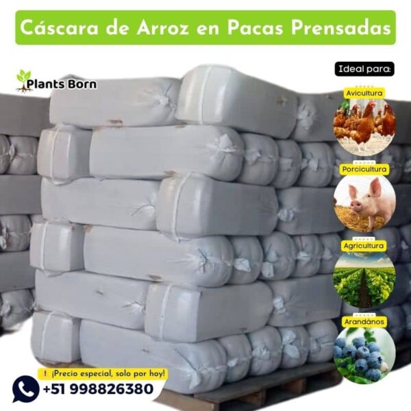 Cascara de Arroz en pacas Prensadas Peru