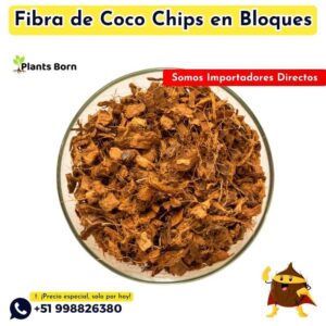 Fibra de Coco en Bloques Prensados - Imagen 4