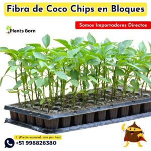 Fibra de Coco en Bloques Prensados - Imagen 5