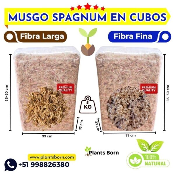 Musgo Spagnum Peru barato