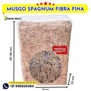 Musgo Spagnum Nacional - Imagen 3