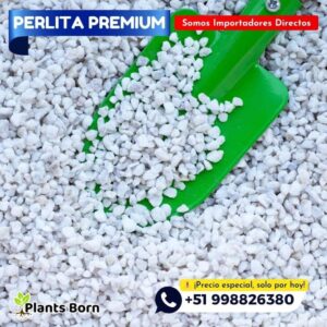 Perlita Expandida Premium - Imagen 3
