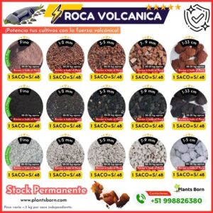 Roca Volcanica Negra, Roja y Pomez - Imagen 1