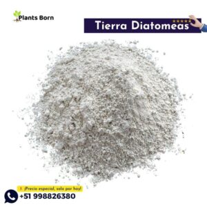 Tierra de Diatomeas - Imagen 3