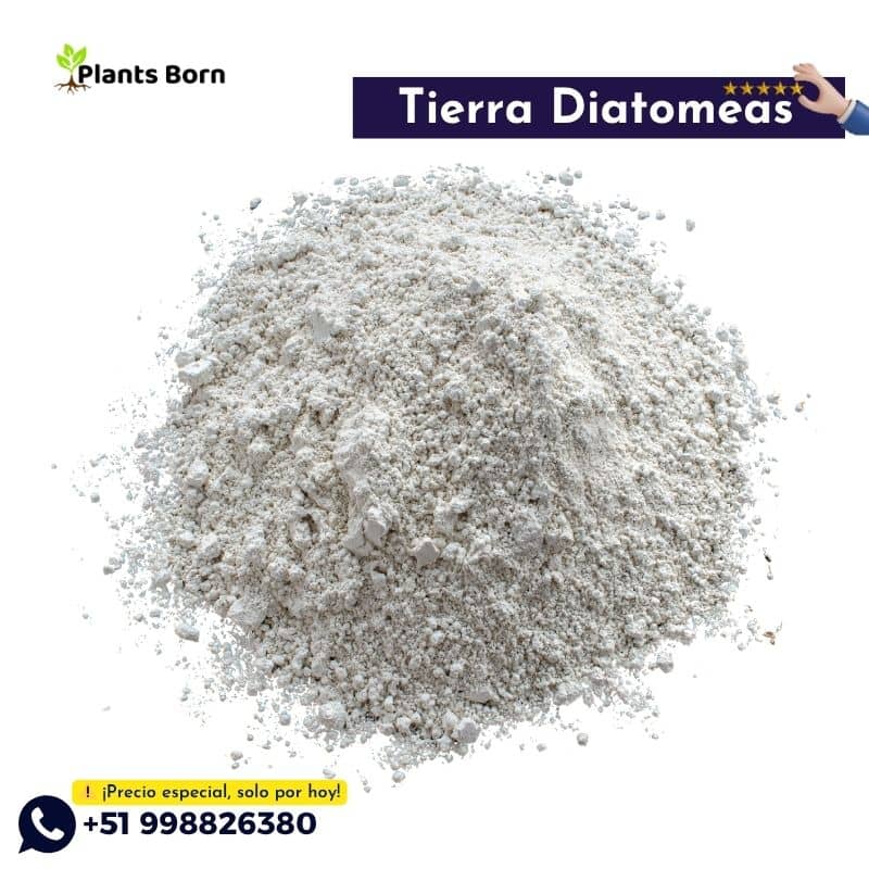 BIOFLOWER Tierra De Diatomeas 250g – Polvere Di Diatomee Pura Per Piante E Orto