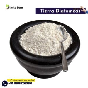Tierra de Diatomeas - Imagen 4