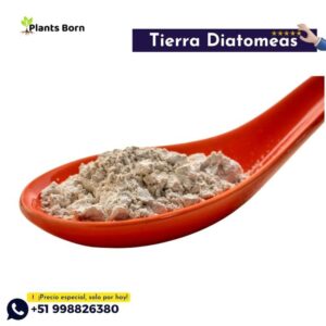 Tierra de Diatomeas - Imagen 5